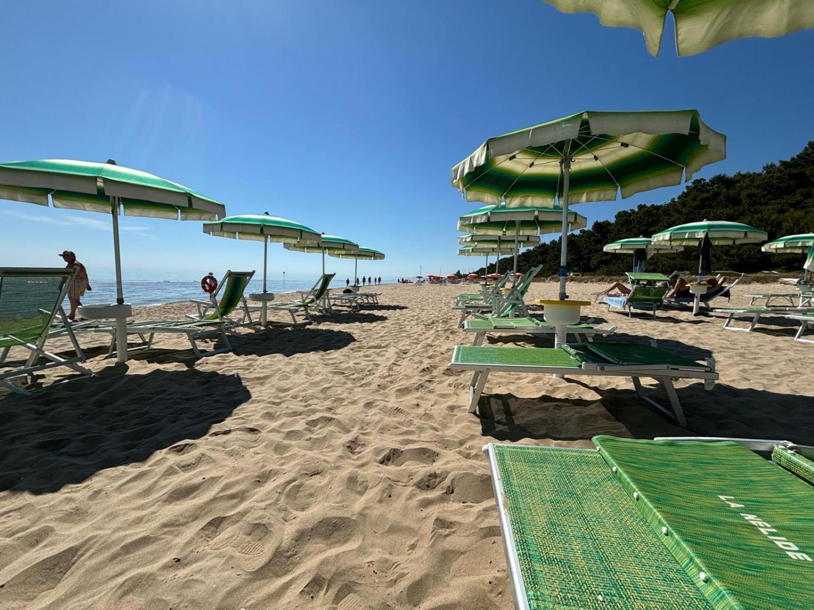 Loft 3, A 150 M Dal Mare, Pineto Centro Apartment Bagian luar foto